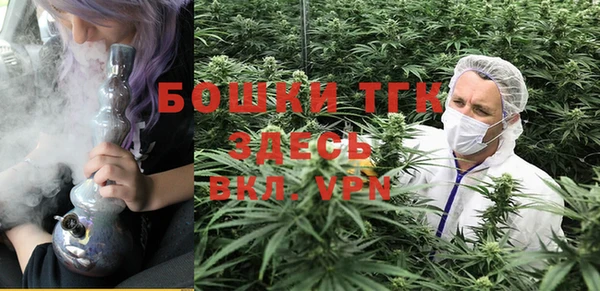 прущая мука Арсеньев