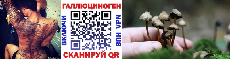 наркошоп  Островной  Галлюциногенные грибы Psilocybine cubensis 